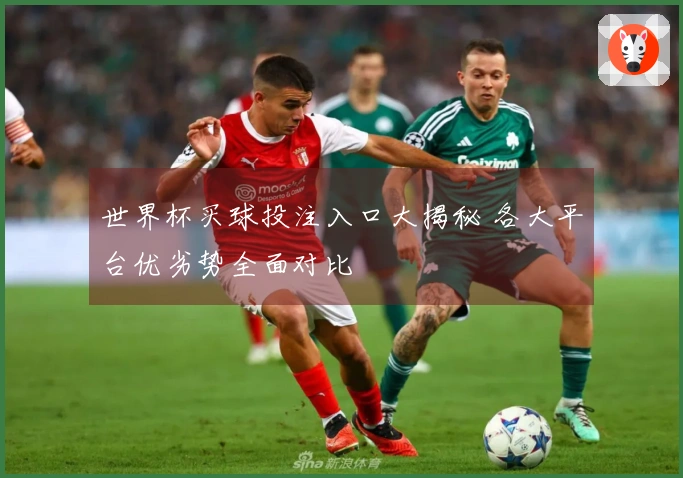 世界杯买球投注入口大揭秘 各大平台优劣势全面对比