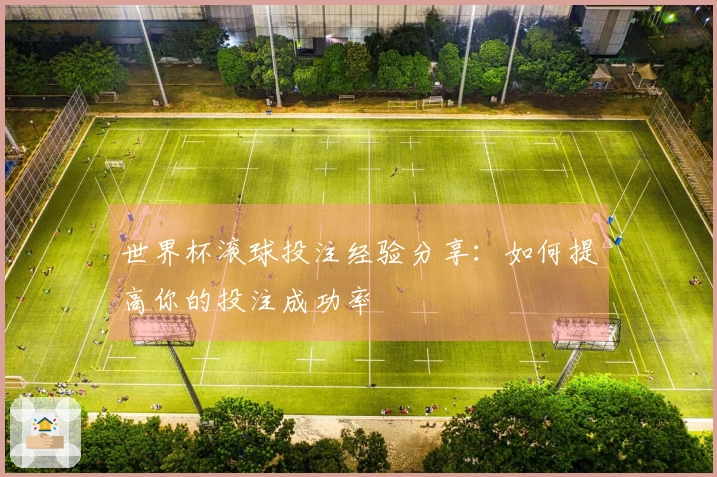 世界杯滚球投注经验分享：如何提高你的投注成功率