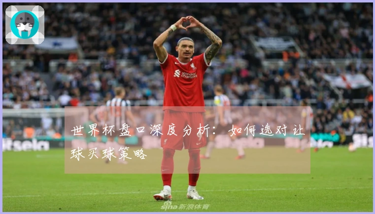 世界杯盘口深度分析：如何选对让球买球策略