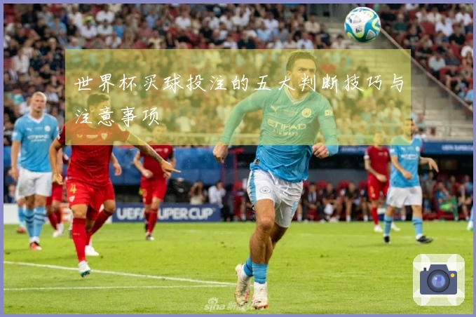 世界杯买球投注的五大判断技巧与注意事项