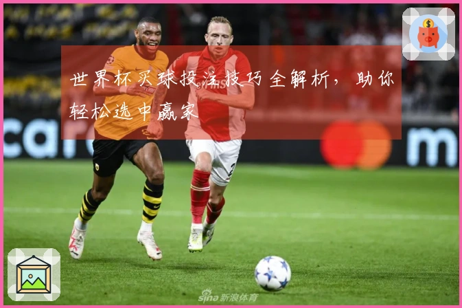 世界杯买球投注技巧全解析，助你轻松选中赢家