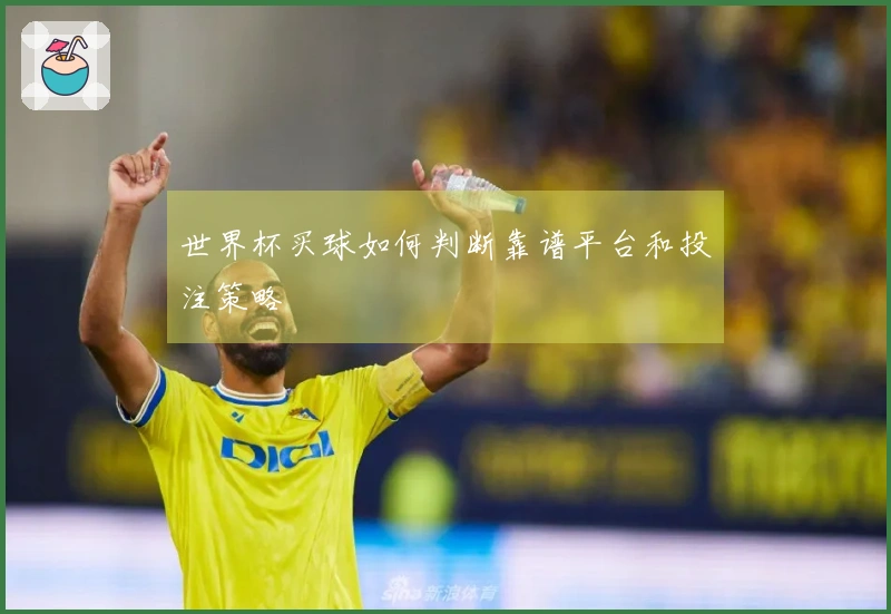 世界杯买球如何判断靠谱平台和投注策略