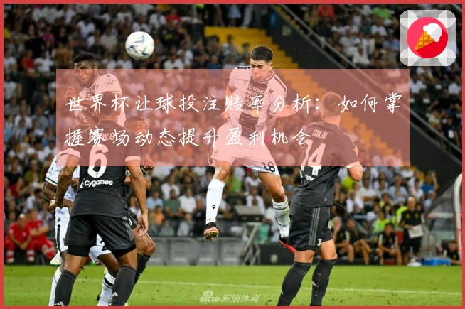 世界杯让球投注赔率分析：如何掌握赛场动态提升盈利机会