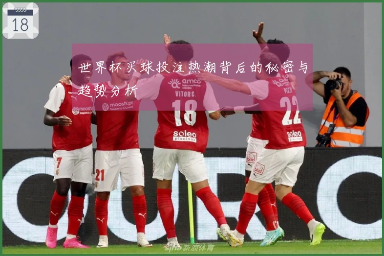 世界杯买球投注热潮背后的秘密与趋势分析