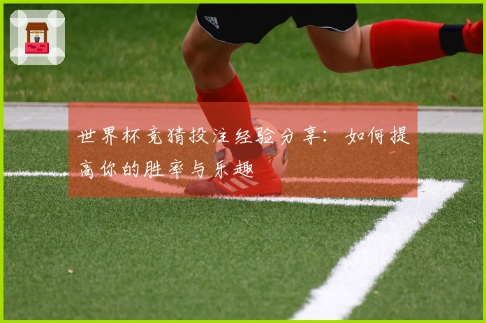世界杯竞猜投注经验分享：如何提高你的胜率与乐趣