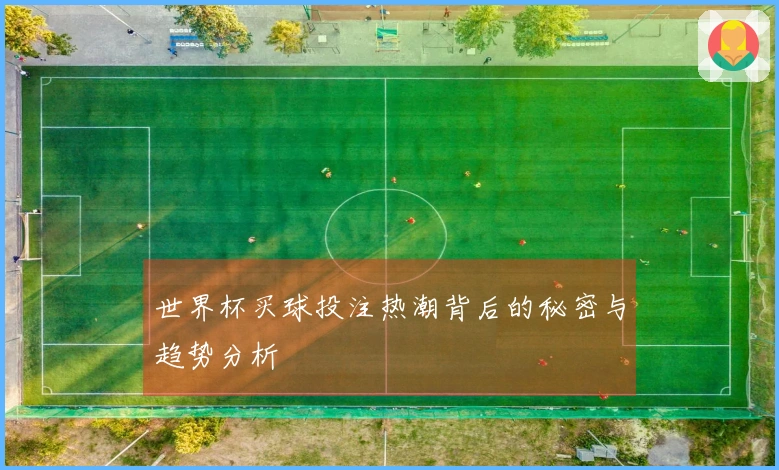 世界杯买球投注热潮背后的秘密与趋势分析