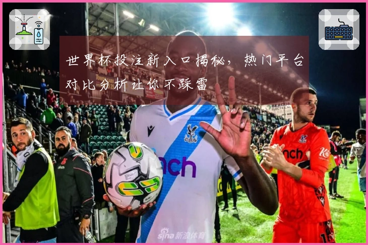 世界杯投注新入口揭秘，热门平台对比分析让你不踩雷