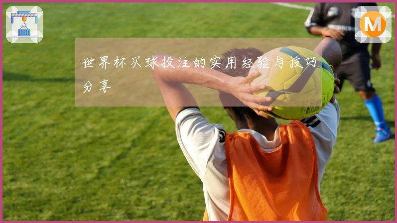 世界杯买球投注的实用经验与技巧分享