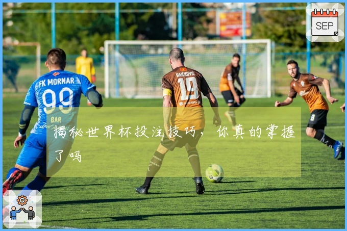 揭秘世界杯投注技巧，你真的掌握了吗