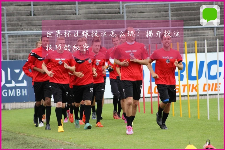 世界杯让球投注怎么玩？揭开投注技巧的秘密